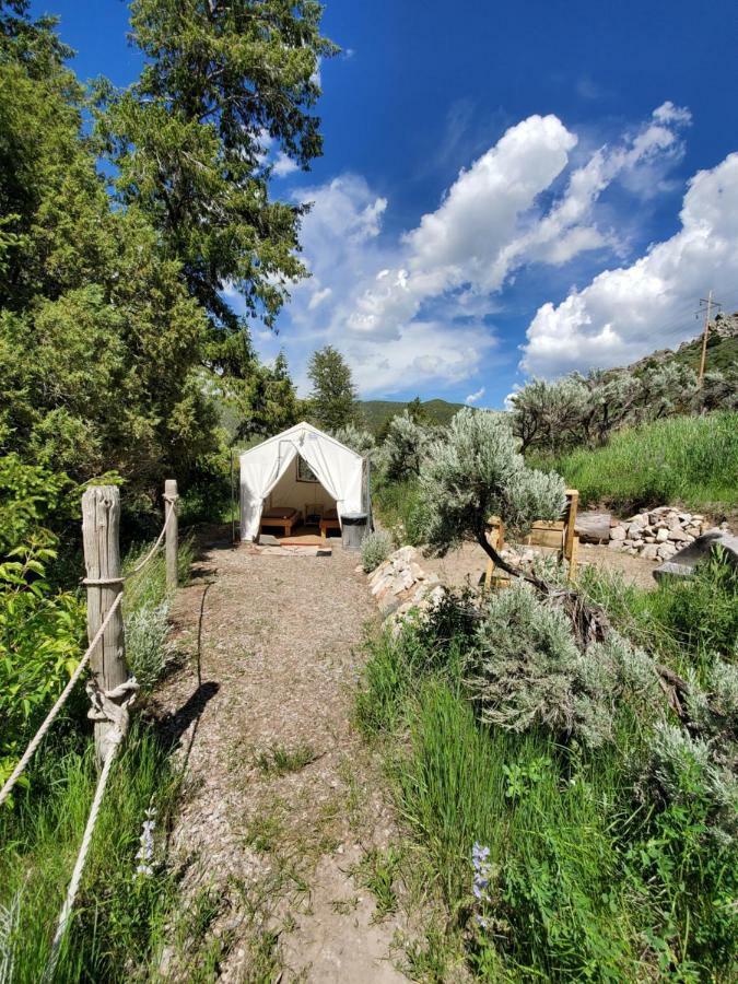 Bristol Cabins Lava Hot Springs Eksteriør billede